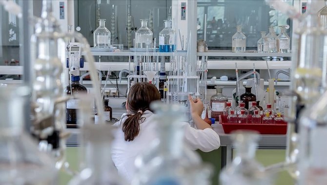 Deneme Metinleri Üzerine Bilgiler ve İncelemeler